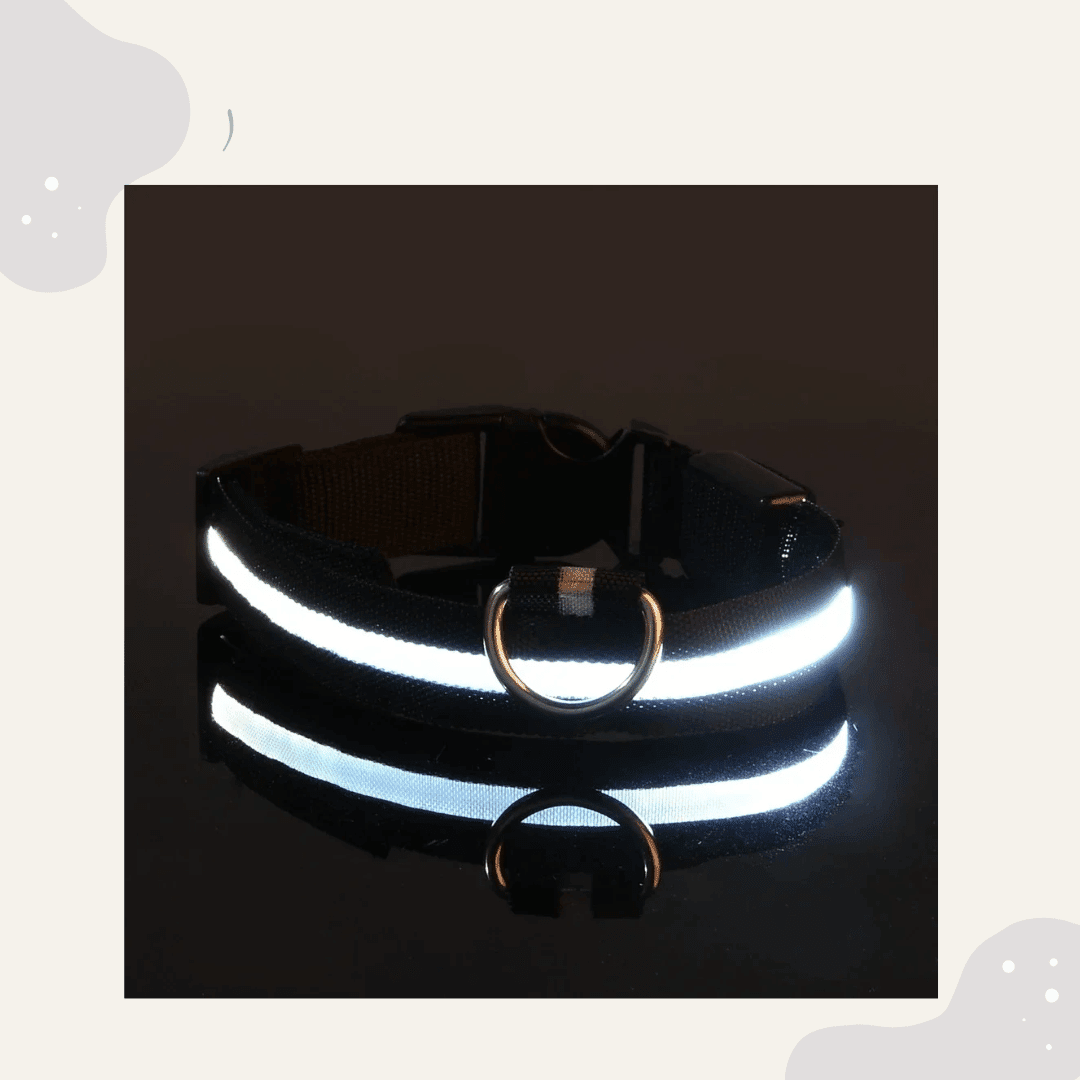 LED Leuchthalsband für Hunde & Katzen – USB aufladbar, 3 Lichtmodi - Animoraa