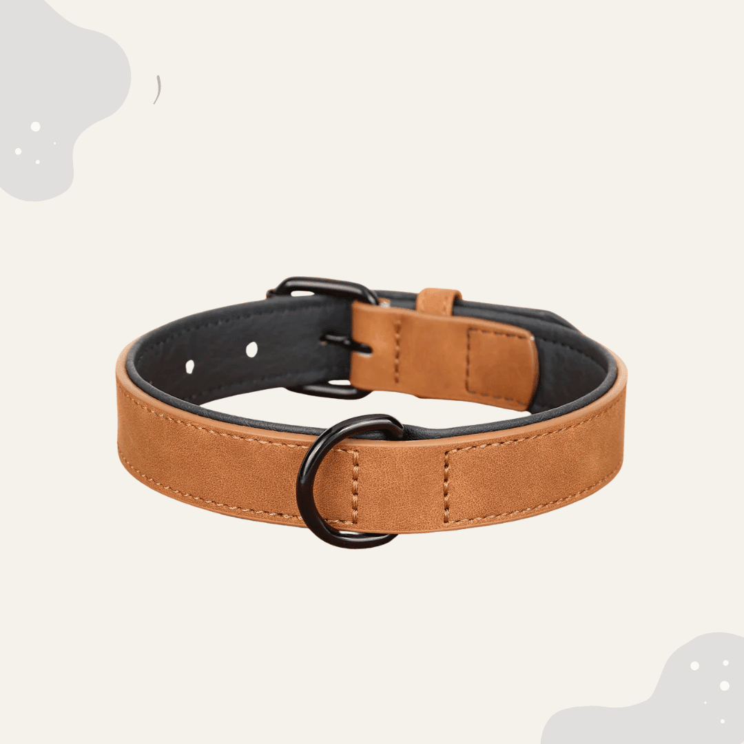 Lederhalsband für Hunde – Weich gepolstertes Premium Hundehalsband, robust & ideal für große und kleine Rassen - Animoraa