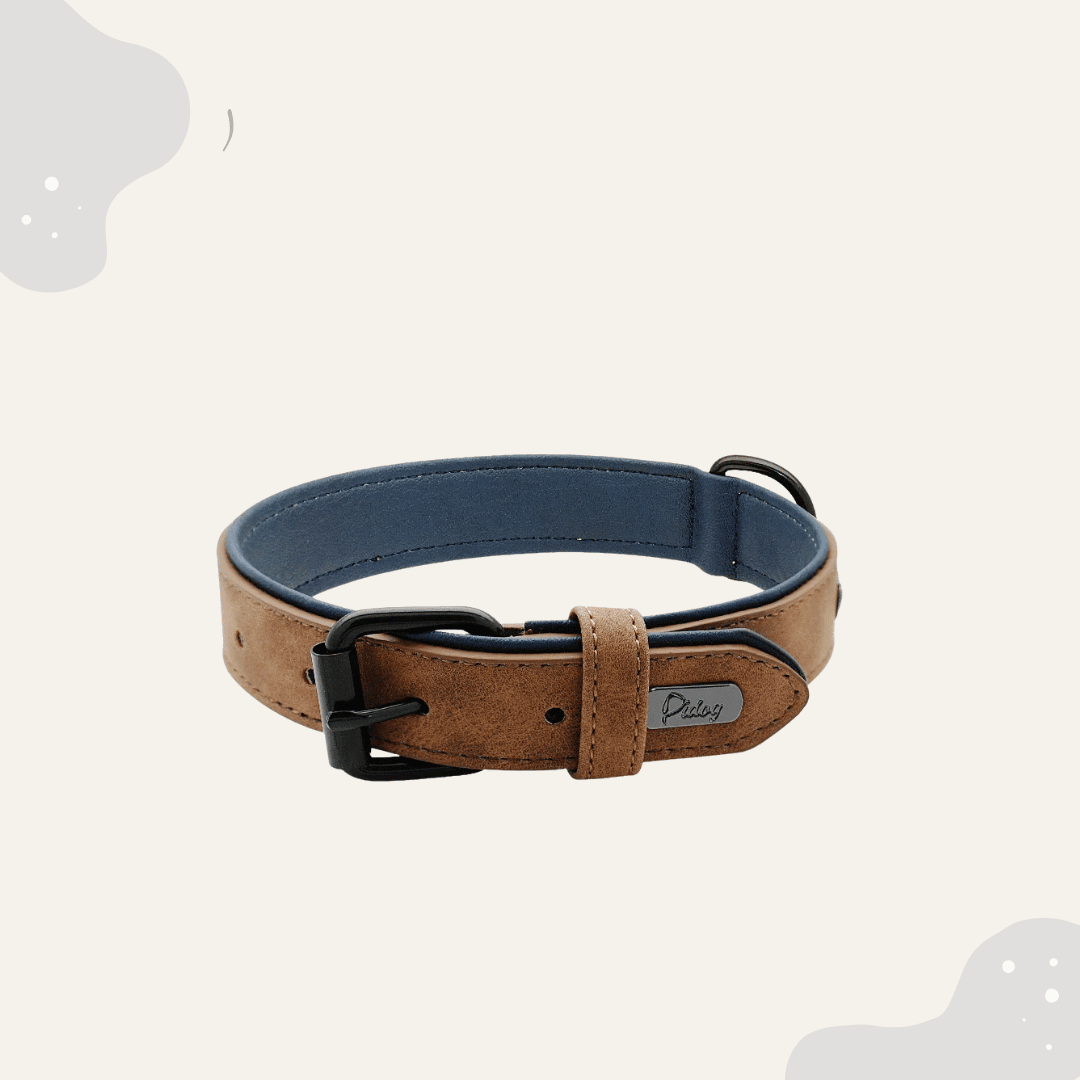 Lederhalsband für Hunde – Weich gepolstertes Premium Hundehalsband, robust & ideal für große und kleine Rassen - Animoraa