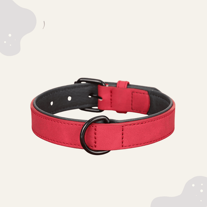 Lederhalsband für Hunde – Weich gepolstertes Premium Hundehalsband, robust & ideal für große und kleine Rassen - Animoraa