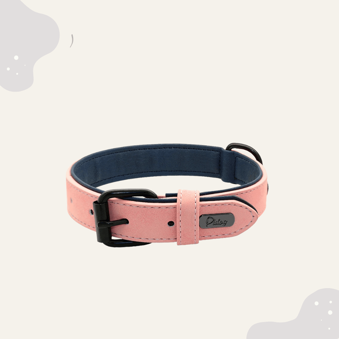 Lederhalsband für Hunde – Weich gepolstertes Premium Hundehalsband, robust & ideal für große und kleine Rassen - Animoraa