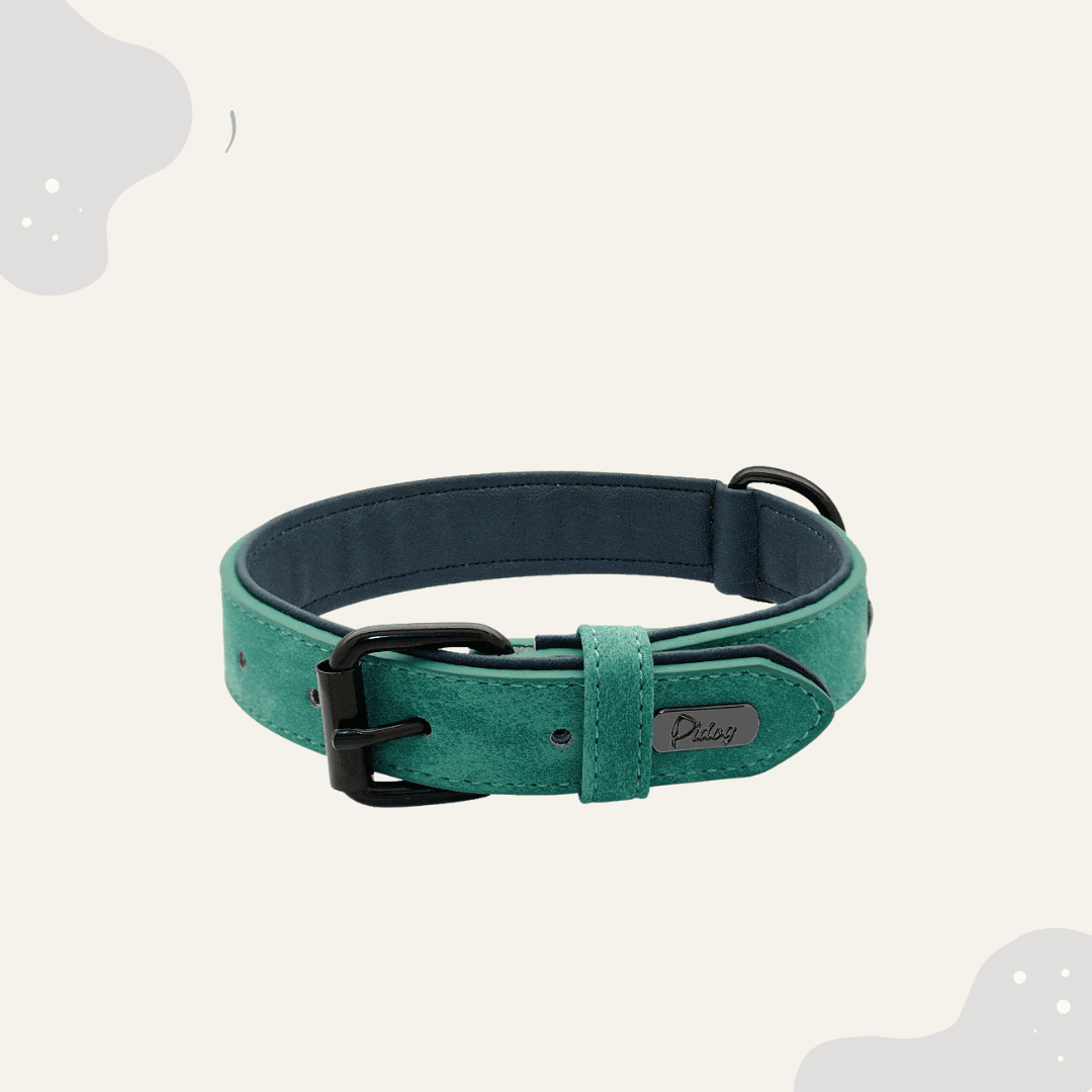 Lederhalsband für Hunde – Weich gepolstertes Premium Hundehalsband, robust & ideal für große und kleine Rassen - Animoraa