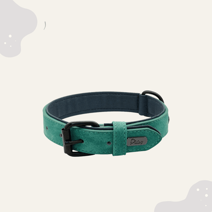 Lederhalsband für Hunde – Weich gepolstertes Premium Hundehalsband, robust & ideal für große und kleine Rassen - Animoraa
