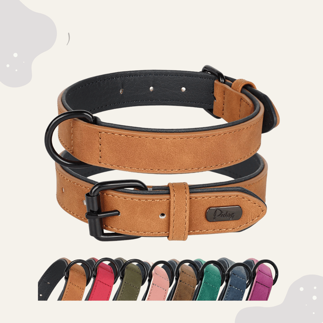 Lederhalsband für Hunde – Weich gepolstertes Premium Hundehalsband, robust & ideal für große und kleine Rassen - Animoraa