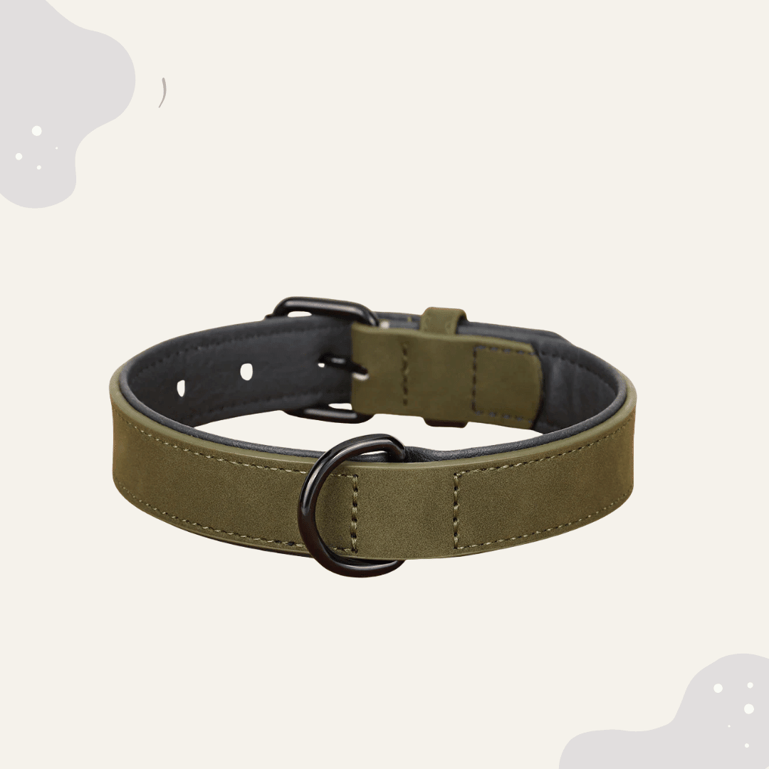 Lederhalsband für Hunde – Weich gepolstertes Premium Hundehalsband, robust & ideal für große und kleine Rassen - Animoraa