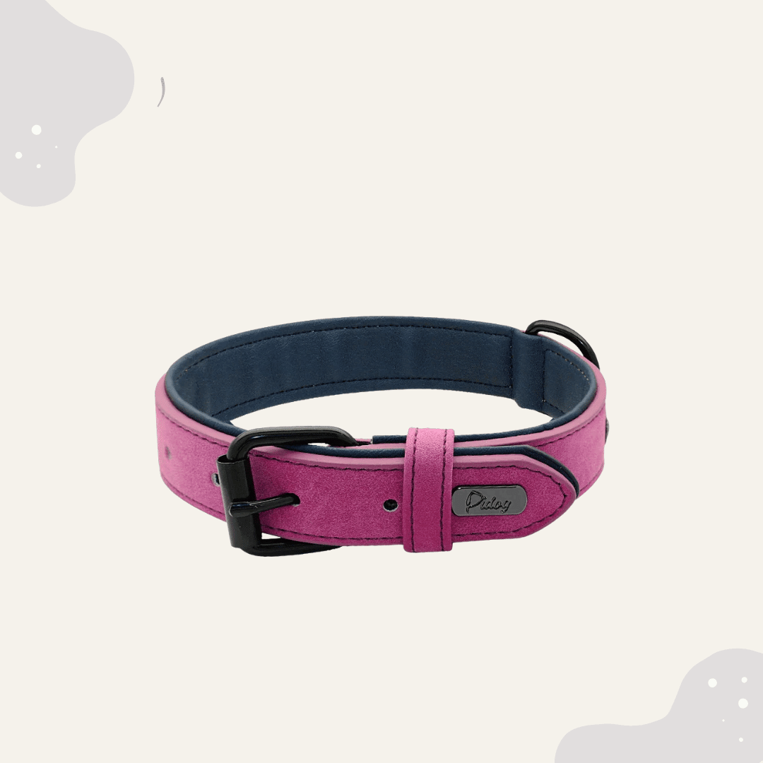 Lederhalsband für Hunde – Weich gepolstertes Premium Hundehalsband, robust & ideal für große und kleine Rassen - Animoraa