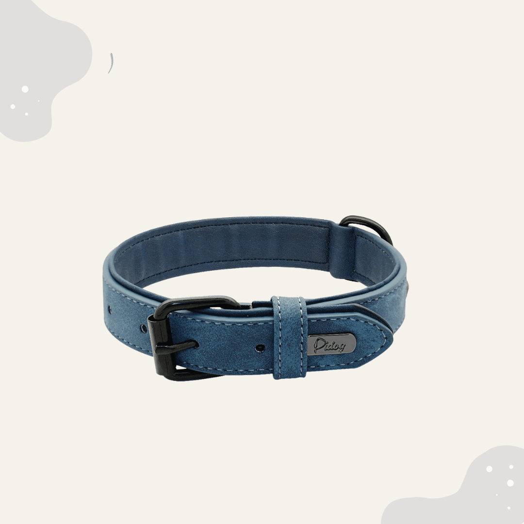 Lederhalsband für Hunde – Weich gepolstertes Premium Hundehalsband, robust & ideal für große und kleine Rassen - Animoraa