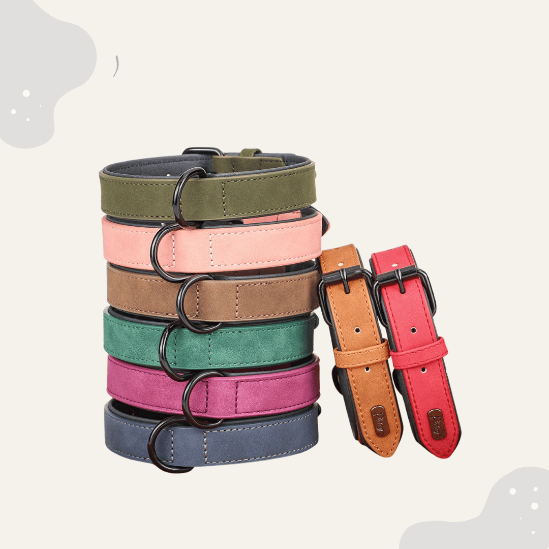 Lederhalsband für Hunde – Weich gepolstertes Premium Hundehalsband, robust & ideal für große und kleine Rassen - Animoraa