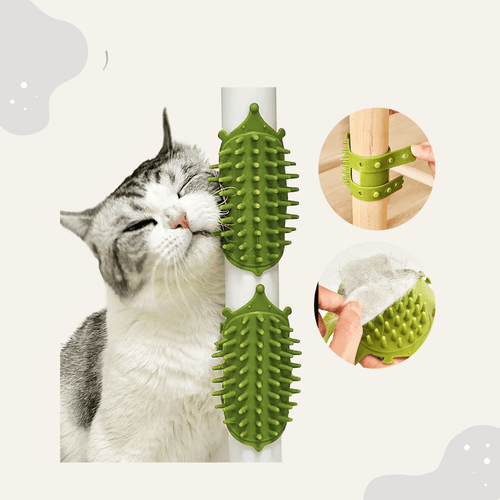 Massagespielzeug für Katzen - Animoraa