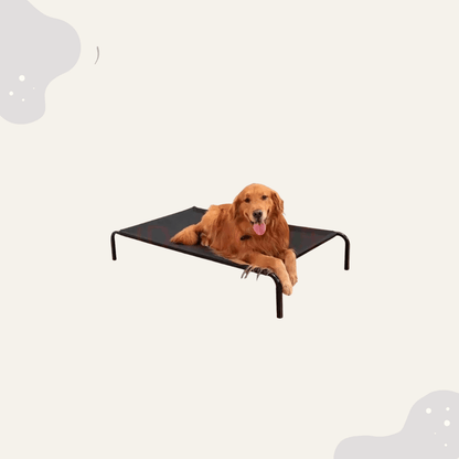 Outdoor Campingbett für Haustiere - Animoraa