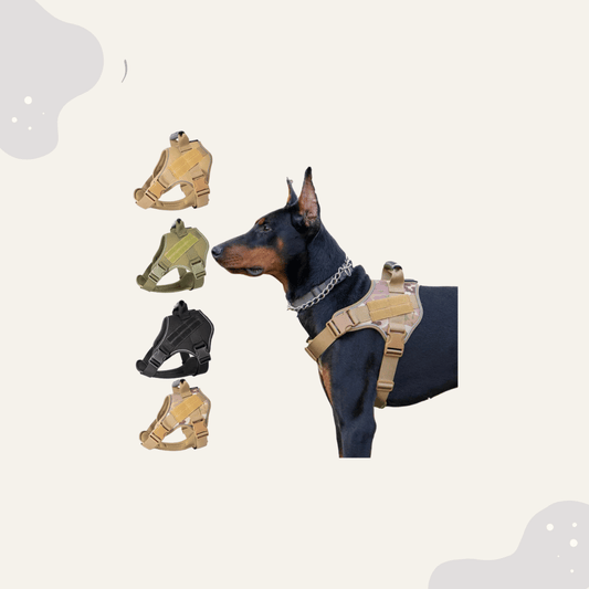 Professionelles Tactical Hundegeschirr - Animoraa