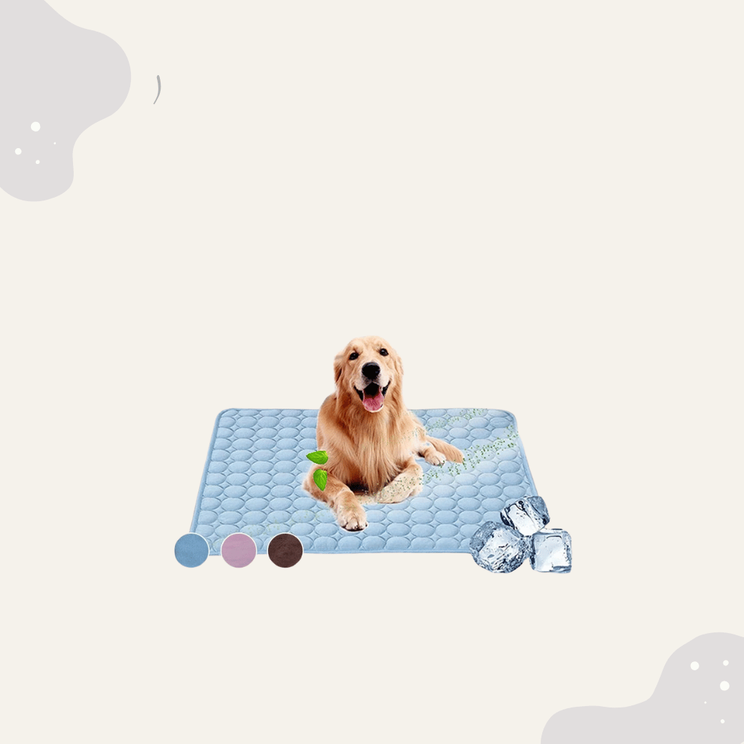 Sommer Kühlmatte Hund Katze - Animoraa