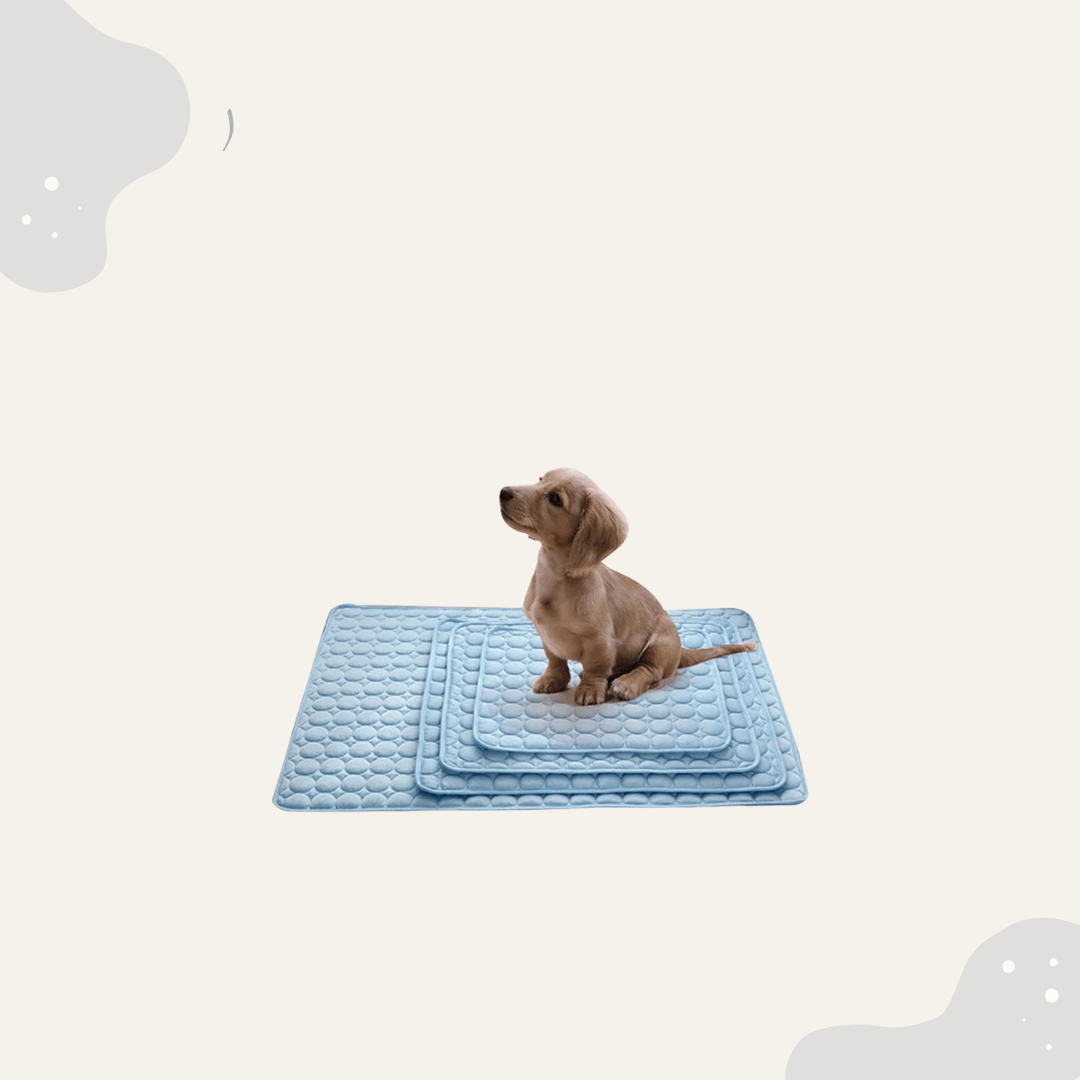 Sommer Kühlmatte Hund Katze - Animoraa
