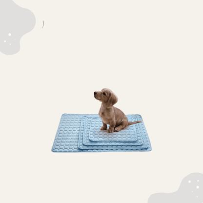 Sommer Kühlmatte Hund Katze - Animoraa