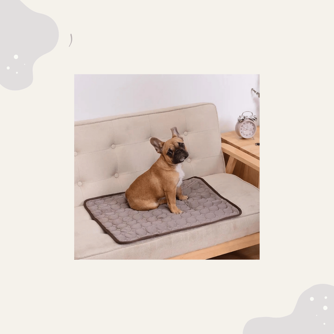 Sommer Kühlmatte Hund Katze - Animoraa