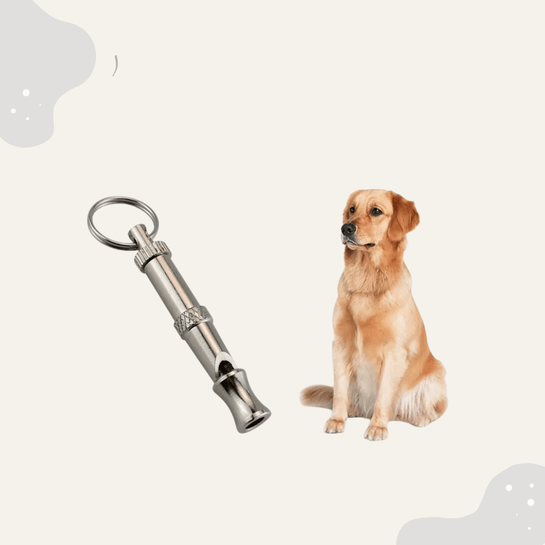 Ultraschall Hundepfeife Training – Erziehungspfeife für Rückruf & Aufmerksamkeit bei Hunden - Animoraa