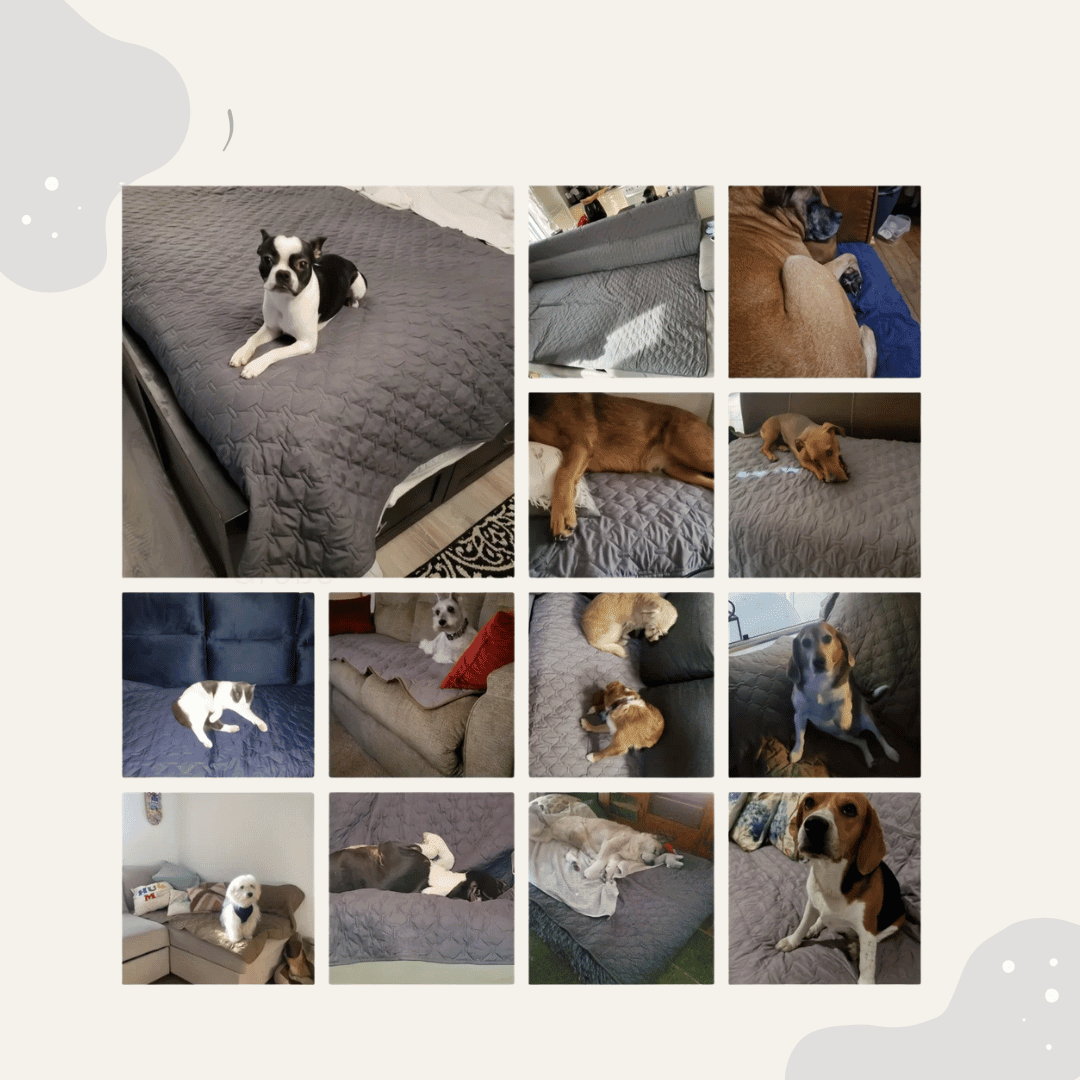 Wasserdichte Haustier Sofa Decke doppelseitig – Möbelschutz für Bett & Couch, waschbar & pflegeleicht. Auch für draußen geeignet - Animoraa