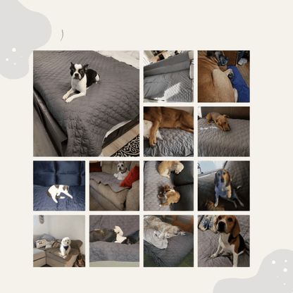Wasserdichte Haustier Sofa Decke doppelseitig – Möbelschutz für Bett & Couch, waschbar & pflegeleicht. Auch für draußen geeignet - Animoraa