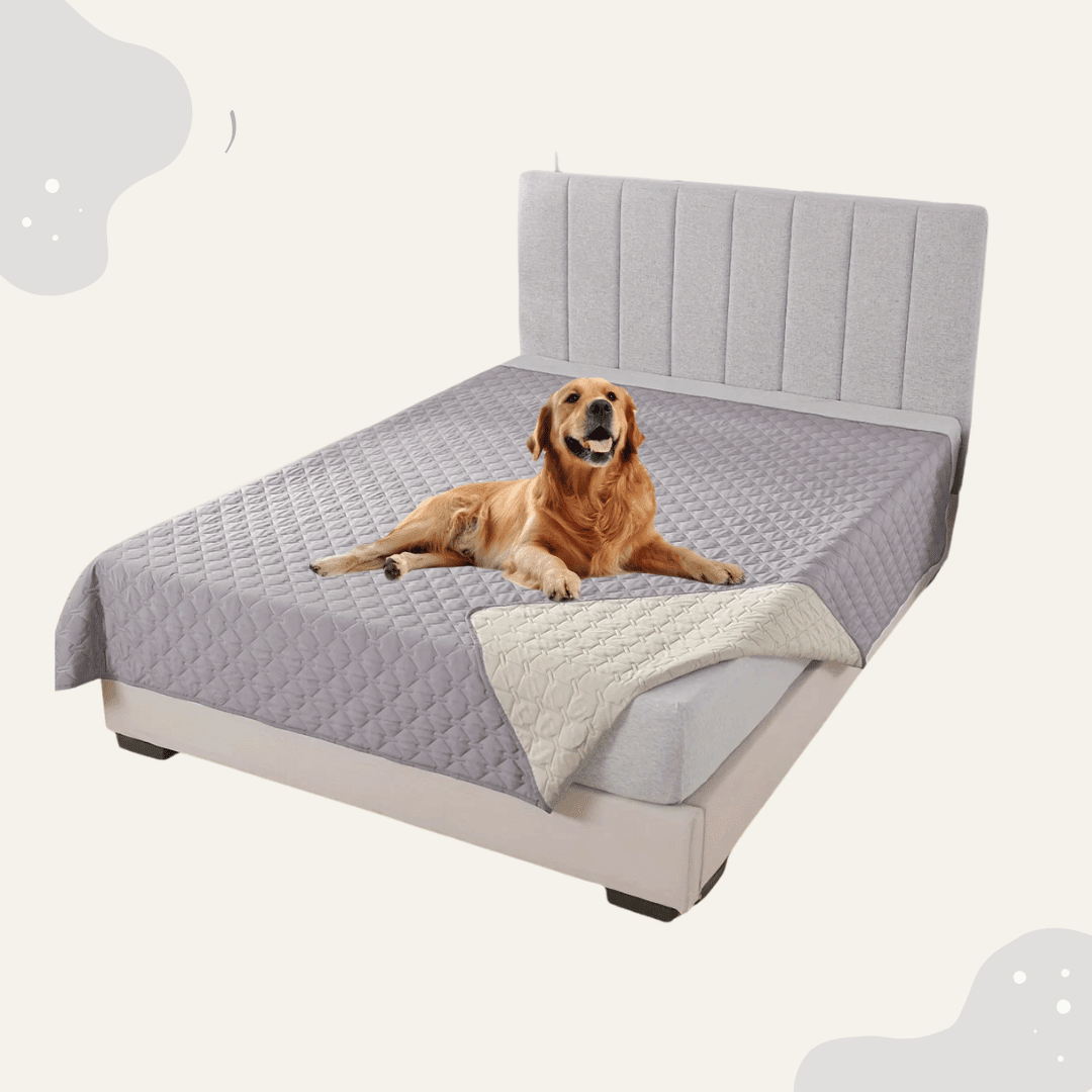 Wasserdichte Haustier Sofa Decke doppelseitig – Möbelschutz für Bett & Couch, waschbar & pflegeleicht. Auch für draußen geeignet - Animoraa