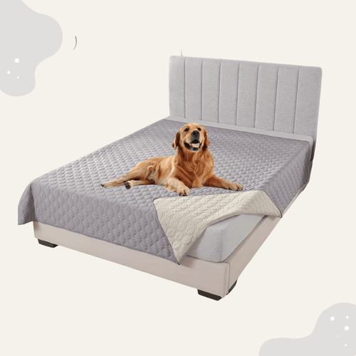Wasserdichte Haustier Sofa Decke doppelseitig – Möbelschutz für Bett & Couch, waschbar & pflegeleicht. Auch für draußen geeignet - Animoraa